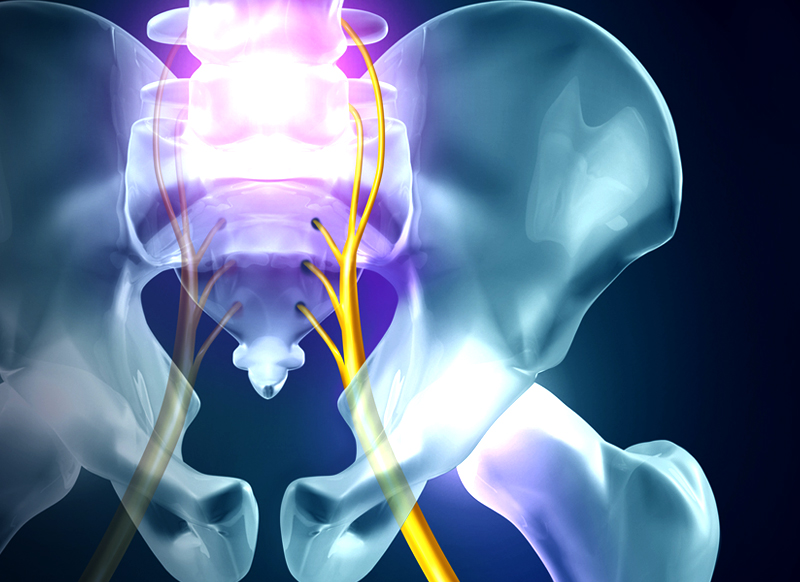 Chiropractic Kelly Coogan